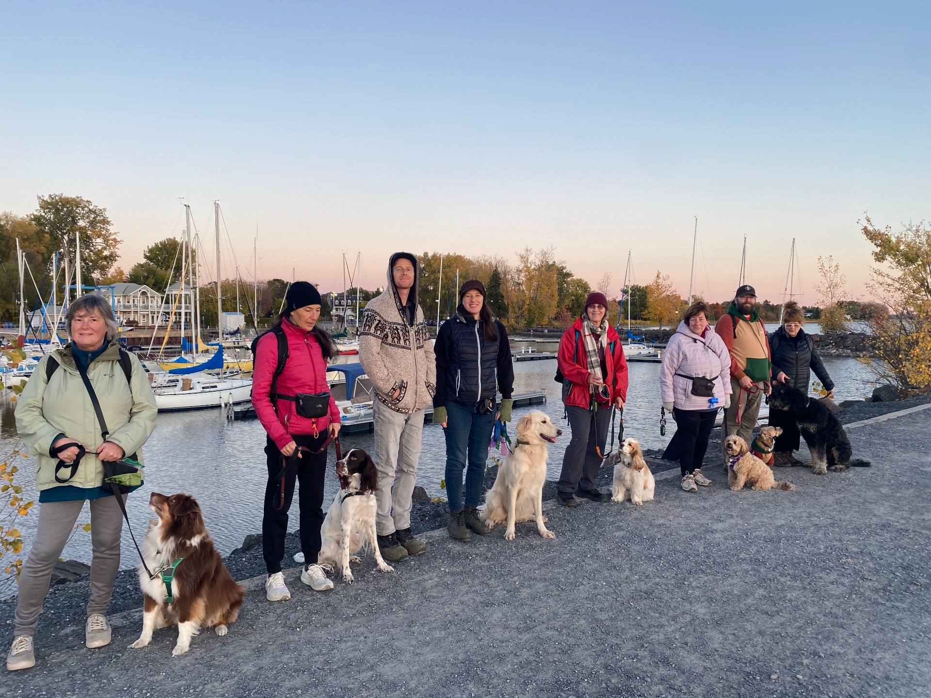 Kinergy Canine clients and their dogs at the marina